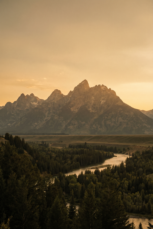 Scenic national park mountain landscape with river, pine trees, and warm golden hour light